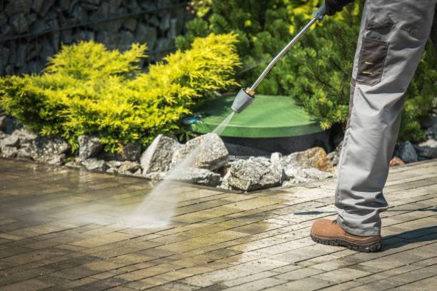 Best Driveway Pressure Washing  in South Creek, WA