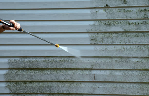 Best Graffiti Removal  in South Creek, WA