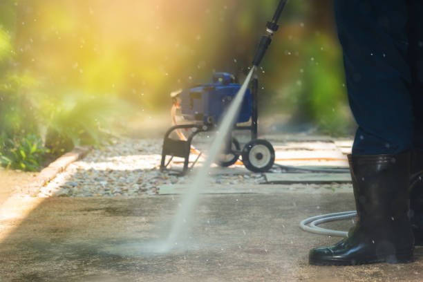 Best Sidewalk and Walkway Cleaning  in South Creek, WA